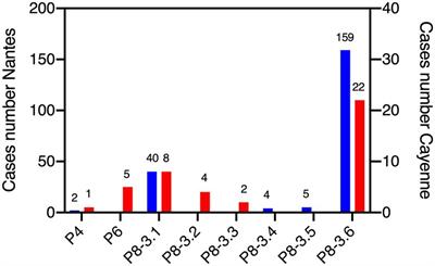 Extent of the protection afforded by histo-blood group polymorphism against rotavirus gastroenteritis in metropolitan France and French Guiana